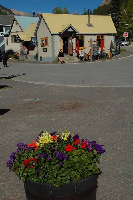 the town of Field